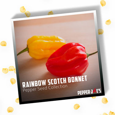 Rainbow Scotch Bonnet Pepper Seed Collection
